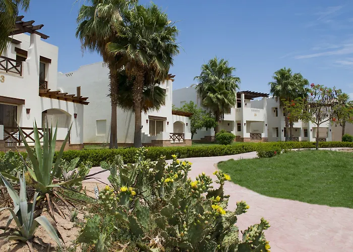 Amphoras Aqua Adults Friendly